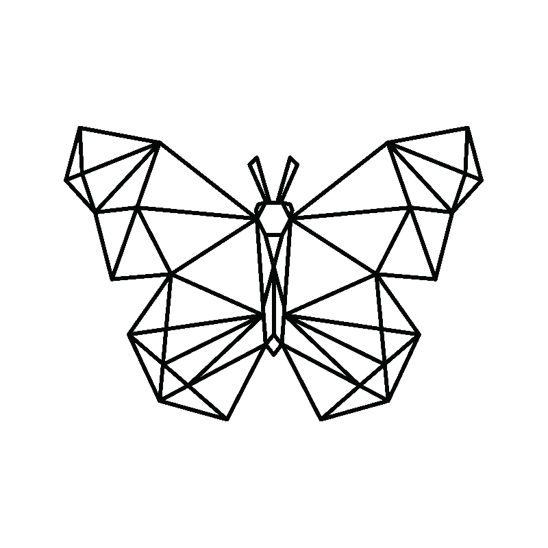 Tranh canvas polygon-bướm 37